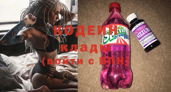 эйфоретик Арсеньев