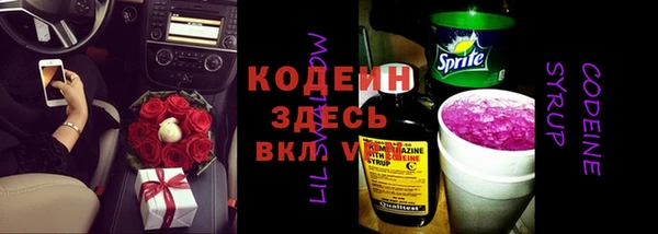эйфоретик Арсеньев
